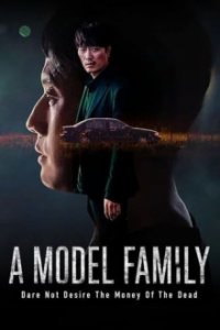 A Model Family Cover, Poster, A Model Family DVD