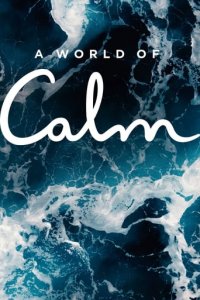A World of Calm Cover, Poster, Blu-ray,  Bild