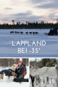 Cover Abenteuer Lappland - Die Husky-Tour des Lebens, TV-Serie, Poster