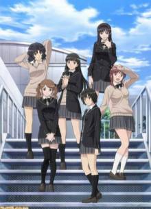Amagami SS Cover, Poster, Blu-ray,  Bild