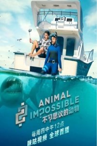 Animal Impossible – Tierische Tatsachen Cover, Poster, Animal Impossible – Tierische Tatsachen DVD