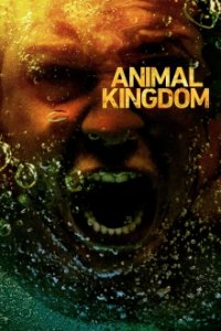 Animal Kingdom Cover, Poster, Blu-ray,  Bild