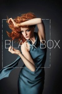Black Box Cover, Poster, Blu-ray,  Bild