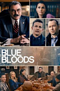 Blue Bloods - Crime Scene New York Cover, Poster, Blu-ray,  Bild