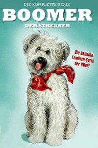 Boomer, der Streuner Cover, Poster, Blu-ray,  Bild