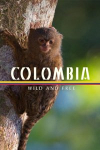 Colombia - Wild and Free Cover, Online, Poster