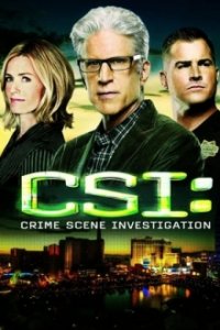 CSI: Den Tätern auf der Spur Cover, Online, Poster