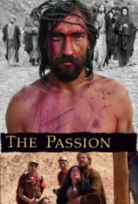 Das Leiden Christi Cover, Poster, Blu-ray,  Bild