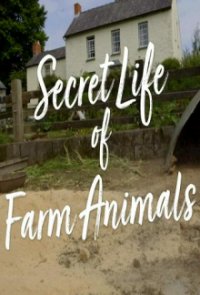 Der Bauernhof – Die faszinierende Welt der Tiere Cover, Poster, Blu-ray,  Bild