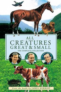 Der Doktor und das liebe Vieh Cover, Poster, Blu-ray,  Bild