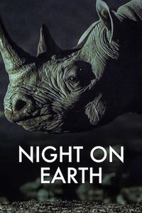 Cover Die Erde bei Nacht, Poster