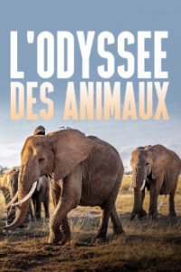 Cover Die Odyssee der Tiere, Poster