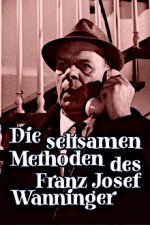 Cover Die seltsamen Methoden des Franz Josef Wanninger, Poster, Stream