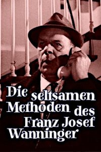 Cover Die seltsamen Methoden des Franz Josef Wanninger, TV-Serie, Poster