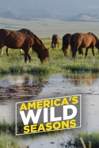 Cover Die Wildnis der USA: Vier Jahreszeiten, Poster