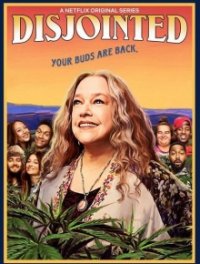 Disjointed Cover, Stream, TV-Serie Disjointed