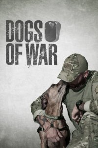 Cover Dogs of War – Hilfe auf vier Pfoten, Poster