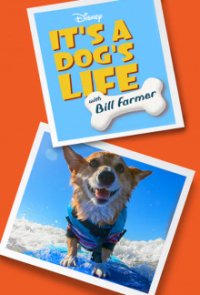 Cover Ein Hundeleben mit Bill Farmer, Poster