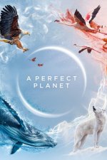 Cover Ein perfekter Planet, Poster, Stream
