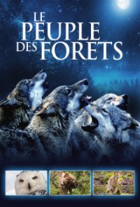 Cover Eine Welt aus Wäldern, Poster, HD