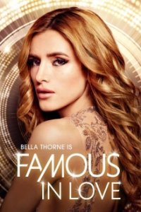 Cover Famous in Love, Poster