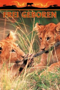 Frei geboren - Königin der Wildnis Cover, Poster, Blu-ray,  Bild