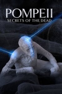 Geheimnisvolle Tote Cover, Poster, Blu-ray,  Bild