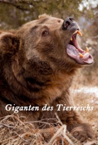 Giganten des Tierreichs Cover, Poster, Giganten des Tierreichs
