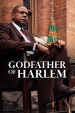 Cover Godfather of Harlem, Poster, Stream