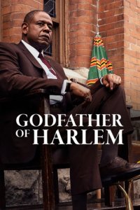 Godfather of Harlem Cover, Poster, Godfather of Harlem