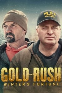 Cover Gold Rush: Winter's Fortune, Poster
