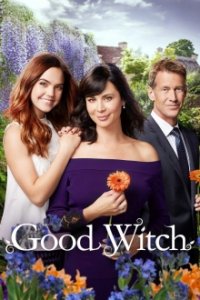 Good Witch Cover, Online, Poster