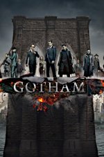 Cover Gotham, Poster, Stream