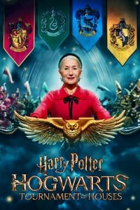 Harry Potter: Hogwarts Tournament of Houses Cover, Online, Poster