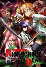 Cover Highschool of the Dead, Poster, Stream