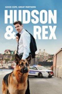 Hudson & Rex Cover, Online, Poster