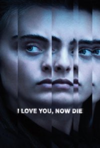 I Love You, Now Die – The Commonwealth vs. Michelle Carter Cover, Poster, I Love You, Now Die – The Commonwealth vs. Michelle Carter DVD