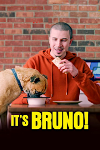 Cover It's Bruno!, Poster