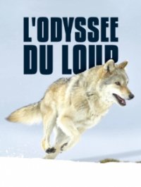 Cover Mit den Augen des Wolfes – Auf Streifzug durch Europa, Poster Mit den Augen des Wolfes – Auf Streifzug durch Europa