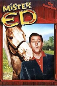 Cover Mr. Ed, Poster, HD