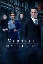 Cover Murdoch Mysteries, Poster, Stream