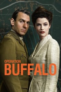 Cover Operation Buffalo, TV-Serie, Poster