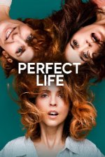 Cover Perfect Life, Poster, Stream
