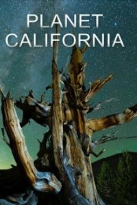 Cover Planet California, TV-Serie, Poster