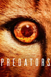 Predators - Jäger in Gefahr, Cover, HD, Serien Stream, ganze Folge