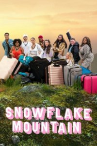 Snowflake Mountain Cover, Poster, Blu-ray,  Bild