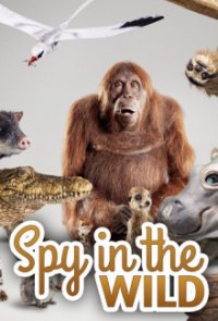 Spione im Tierreich Cover, Poster, Blu-ray,  Bild
