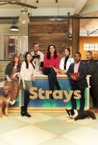 Cover Strays, Poster Strays