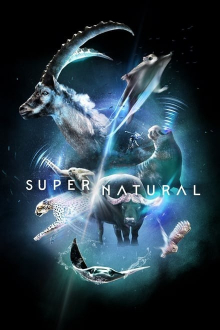 Super/Natural, Cover, HD, Serien Stream, ganze Folge