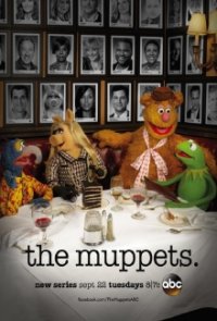 Cover The Muppets, Poster